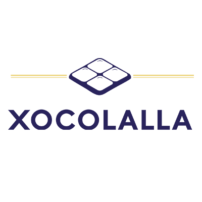 Portfolio agencia de marketing digital Talavera