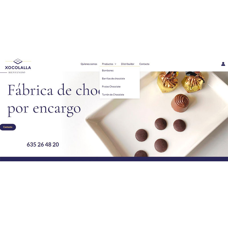 diseño web xocolalla